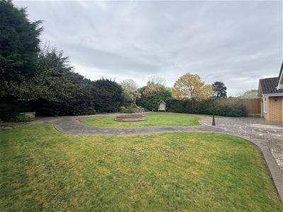 Picture 30